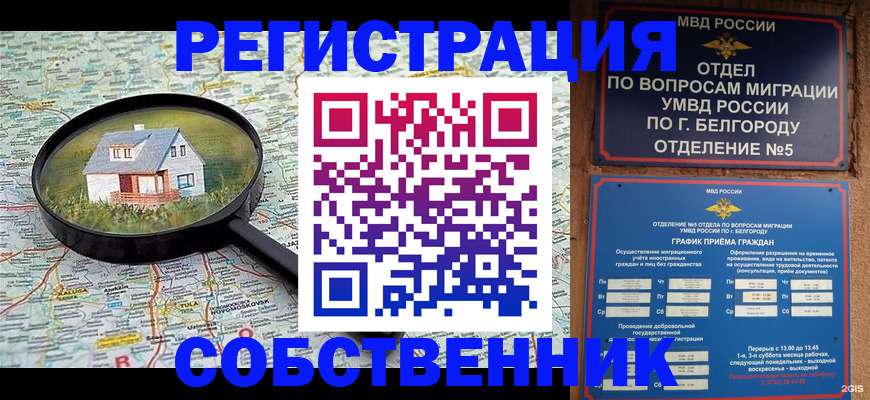 регистрация для школы в Курганской области